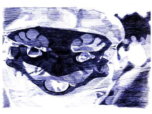 maske006
