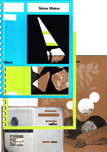 schleier028