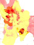 blumen009