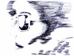 brille001