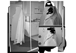 schleier040