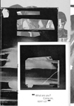 schleier060