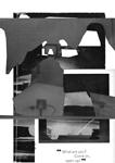 schleier091